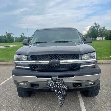 2003 Chevrolet 1500 Regular Cab