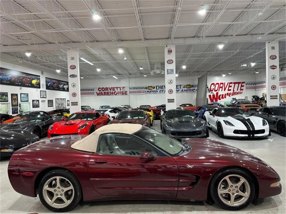 2003 Chevrolet Corvette C5 - Image 5 of 10