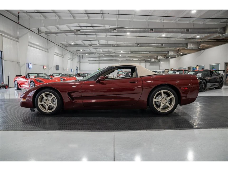 2003 Chevrolet Corvette C5 - Image 16 of 31