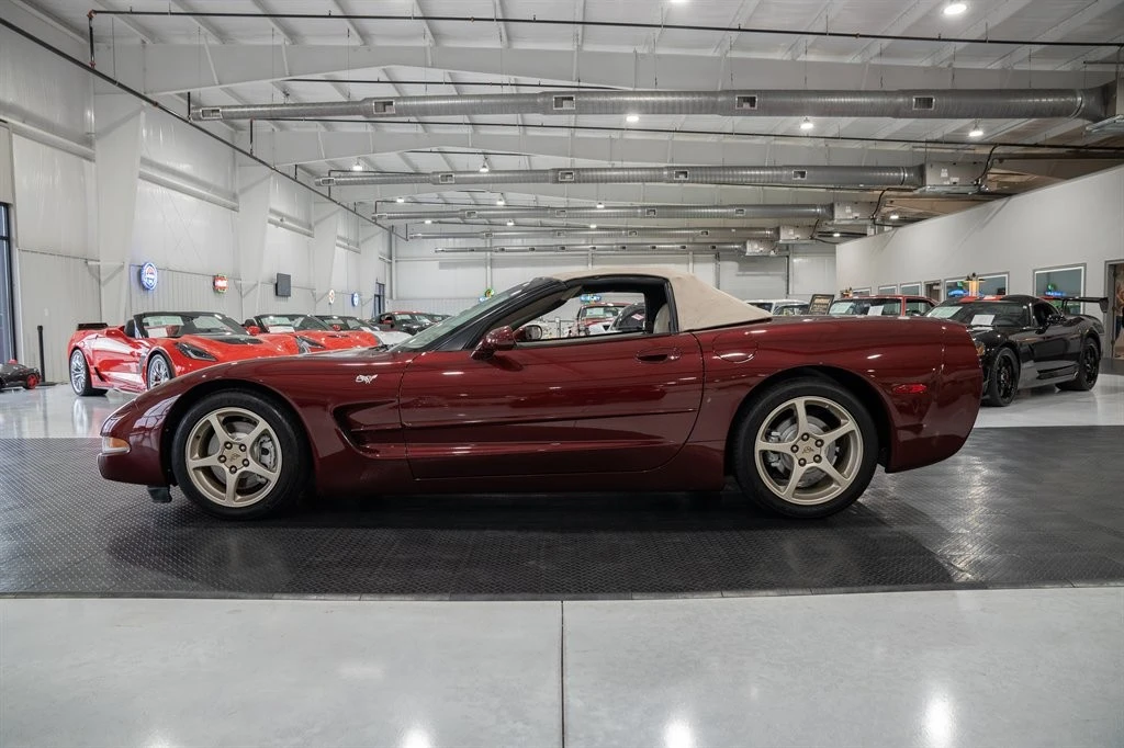2003 Chevrolet Corvette C5 - Image 16 of 21