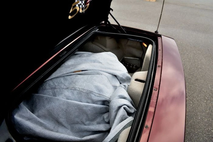 2003 Chevrolet Corvette C5 - Image 20 of 21