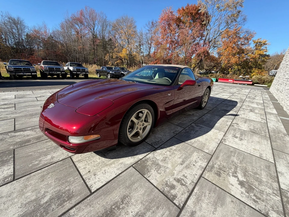 2003 Chevrolet Corvette C5 - Image 14 of 21