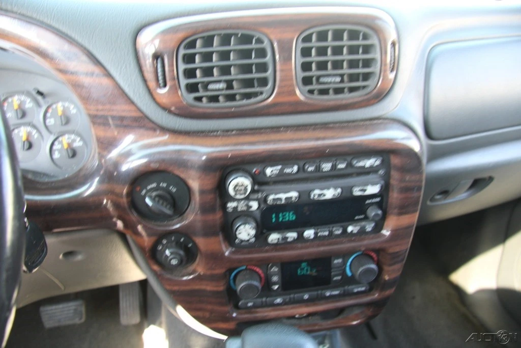 2003 Chevrolet Trailblazer - Image 20 of 21