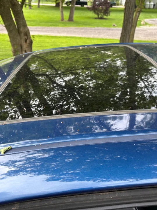 2003 Chevrolet Monte Carlo 6th Gen - Image 10 of 12