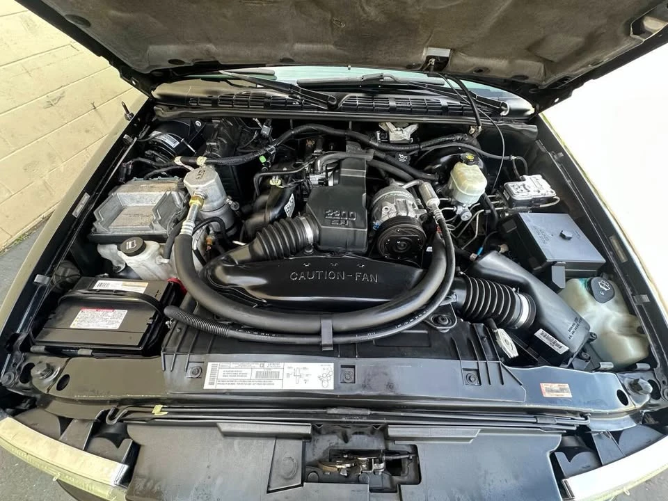 2003 Chevrolet S-10 - Image 16 of 19