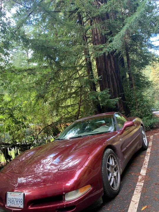 2003 Chevrolet Corvette C5 - Image 5 of 5