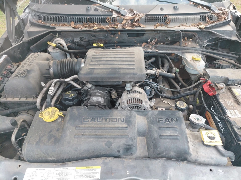 2003 Dodge Dakota 2nd Gen - Image 2 of 10