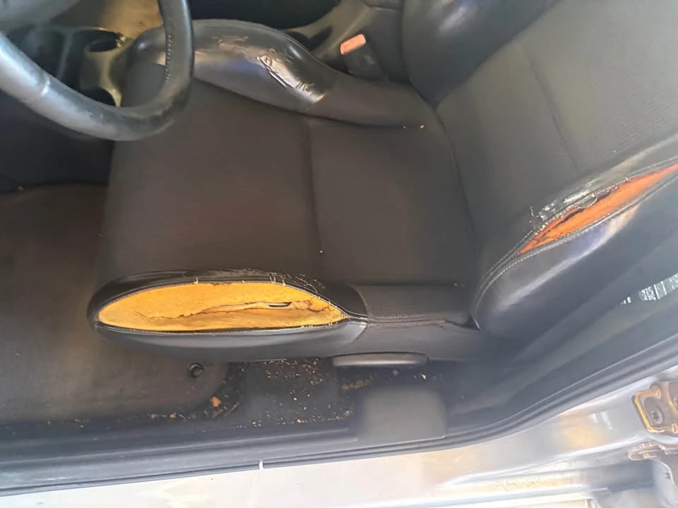 2003 Dodge Neon SRT-4 - Image 9 of 12