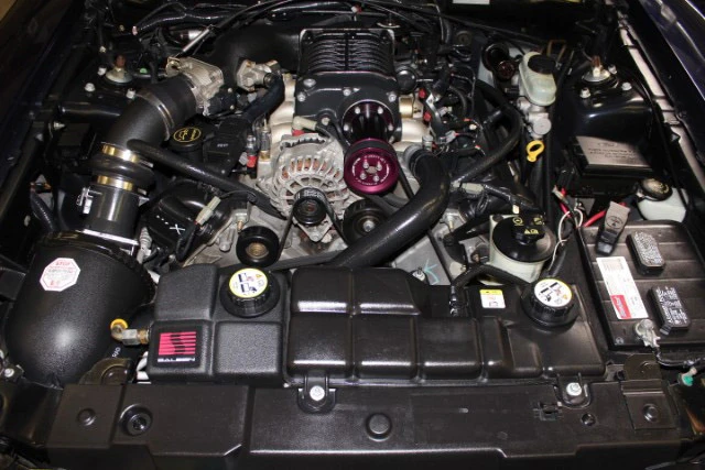 2003 Ford SN95 Mustang - Image 3 of 5