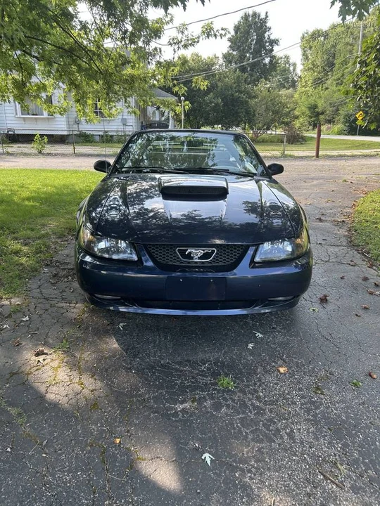 2003 Ford SN95 Mustang - Image 3 of 7