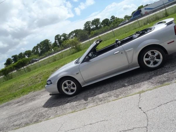 2003 Ford SN95 Mustang - Image 12 of 12