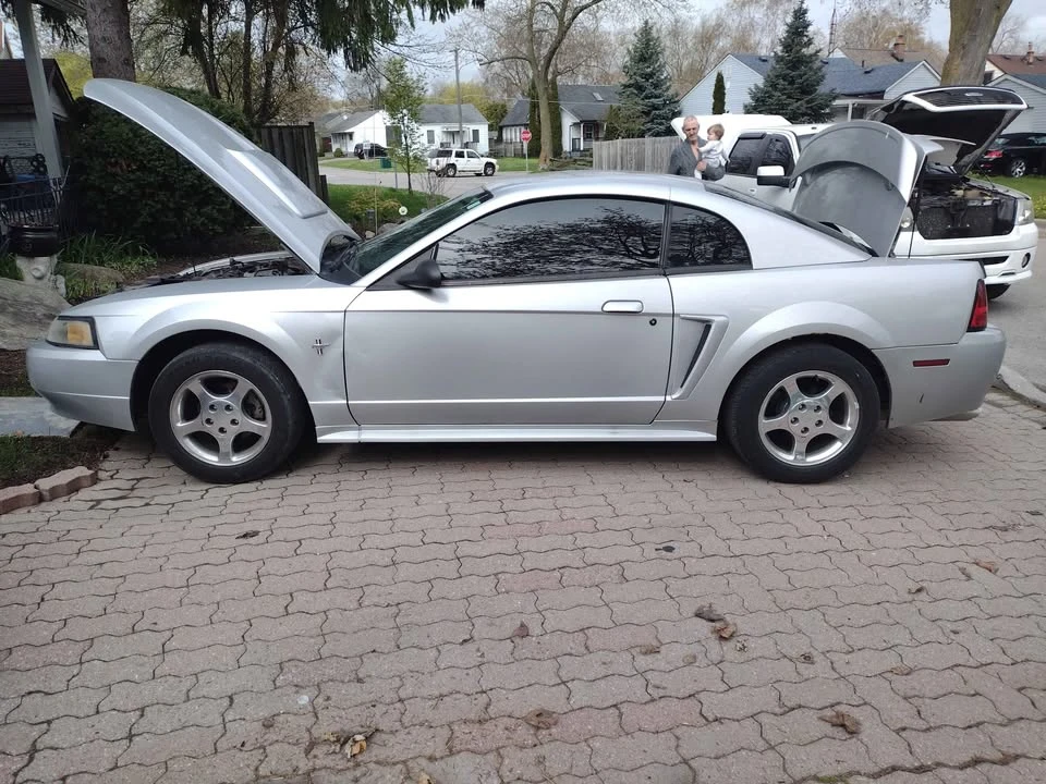 2003 Ford SN95 Mustang - Image 5 of 8