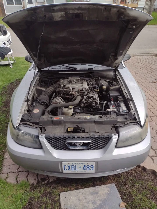 2003 Ford SN95 Mustang - Image 6 of 8