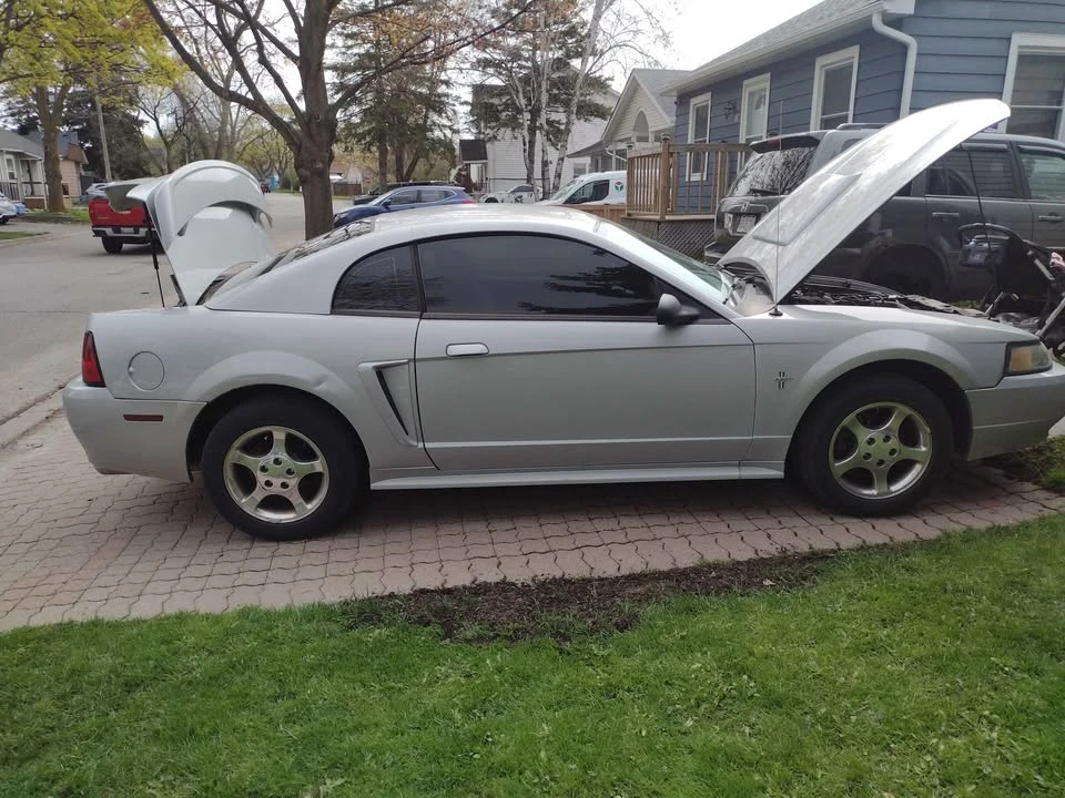 2003 Ford SN95 Mustang - Image 7 of 8