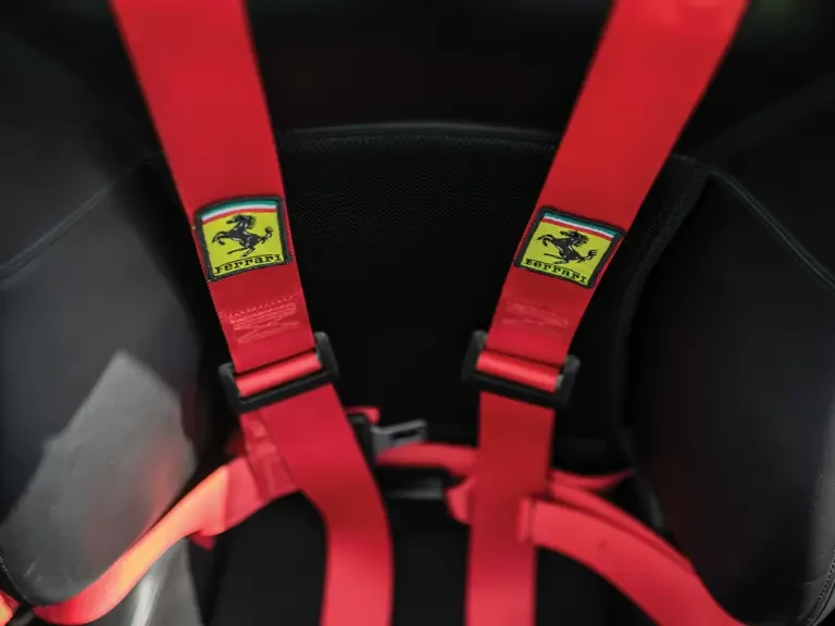 2003 Ferrari Enzo - Image 13 of 31