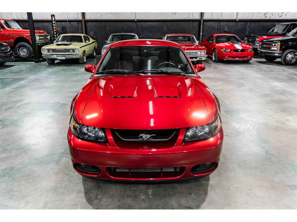 2003 Ford SN95 Mustang Cobra - Image 8 of 24