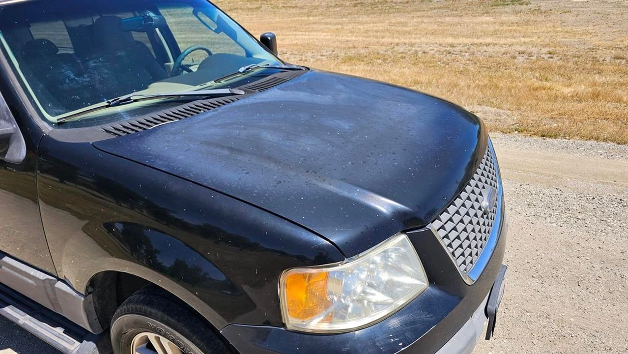 2003 Ford Expedition 2nd Gen - Image 29 of 31
