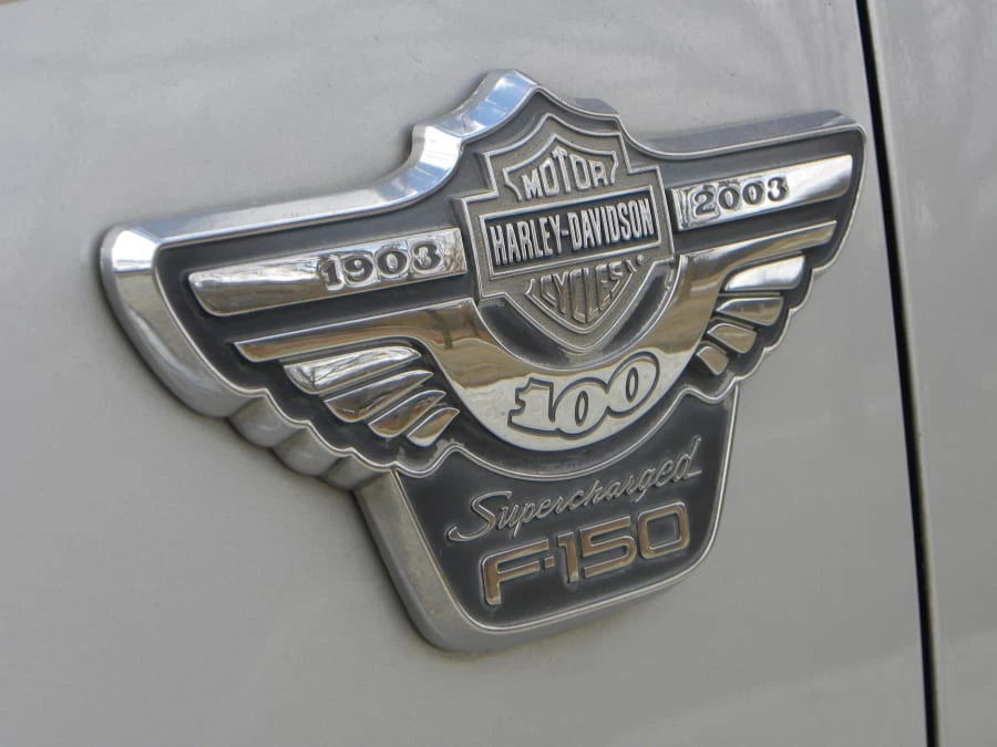 2003 Ford F-150 10th Gen - Image 9 of 12