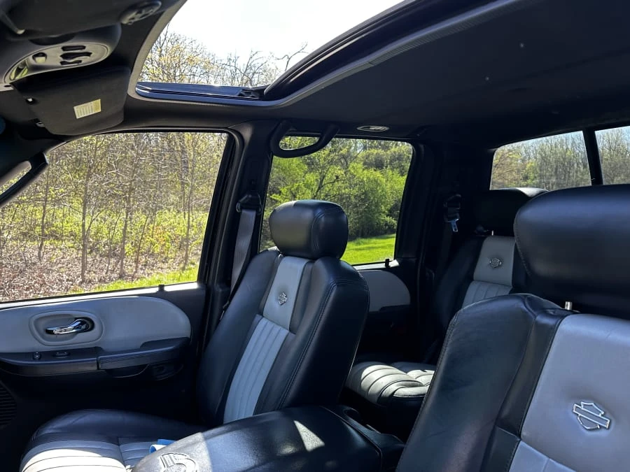 2003 Ford F-150 10th Gen - Image 17 of 18