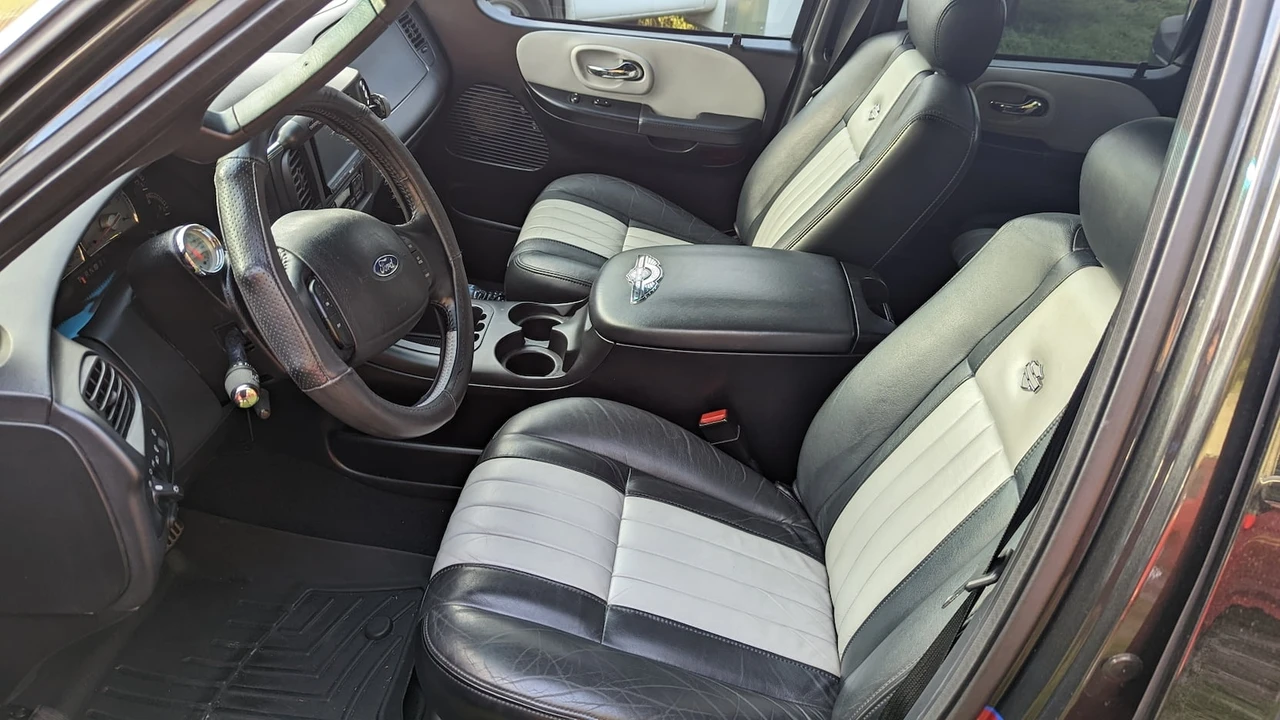 2003 Ford F-150 10th Gen - Image 3 of 19