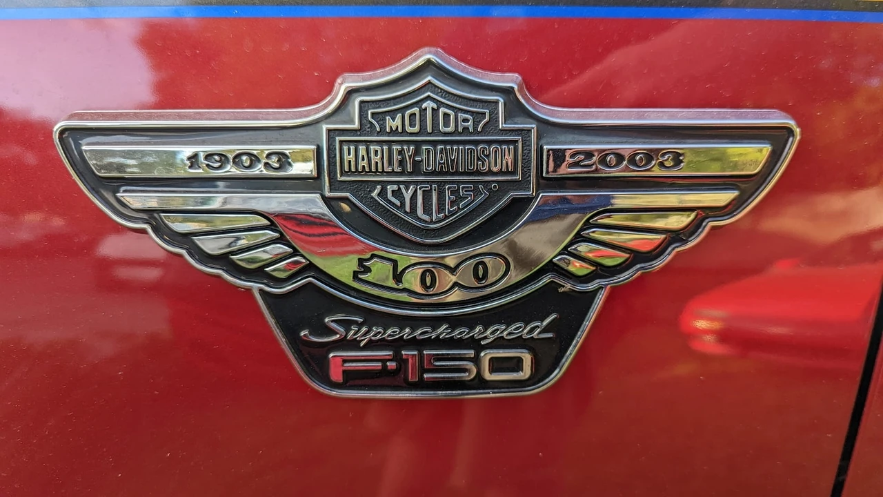2003 Ford F-150 10th Gen - Image 19 of 19
