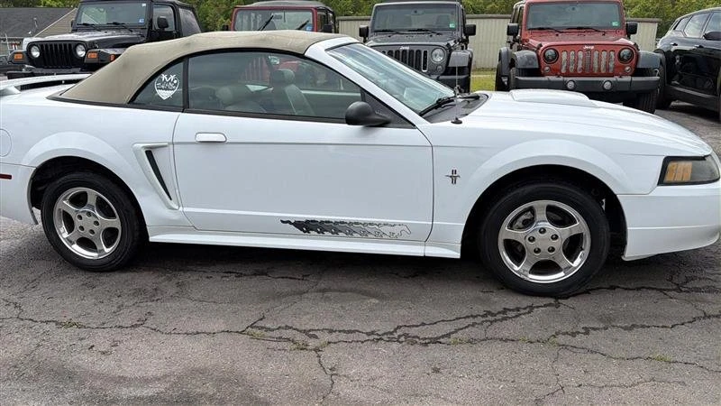 2003 Ford SN95 Mustang - Image 8 of 20
