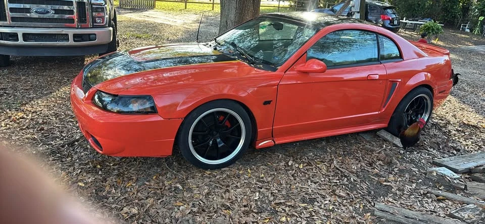 2003 Ford SN95 Mustang - Image 4 of 6