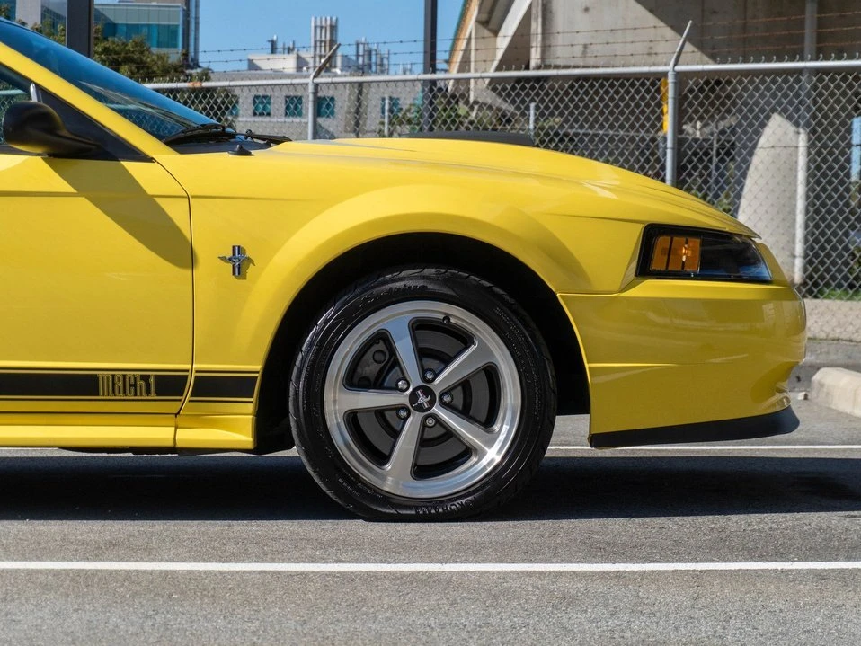 2003 Ford SN95 Mustang - Image 4 of 20