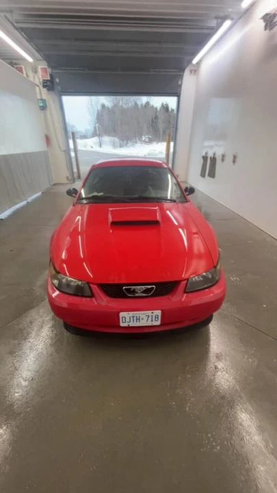 2003 Ford SN95 Mustang - Image 4 of 4