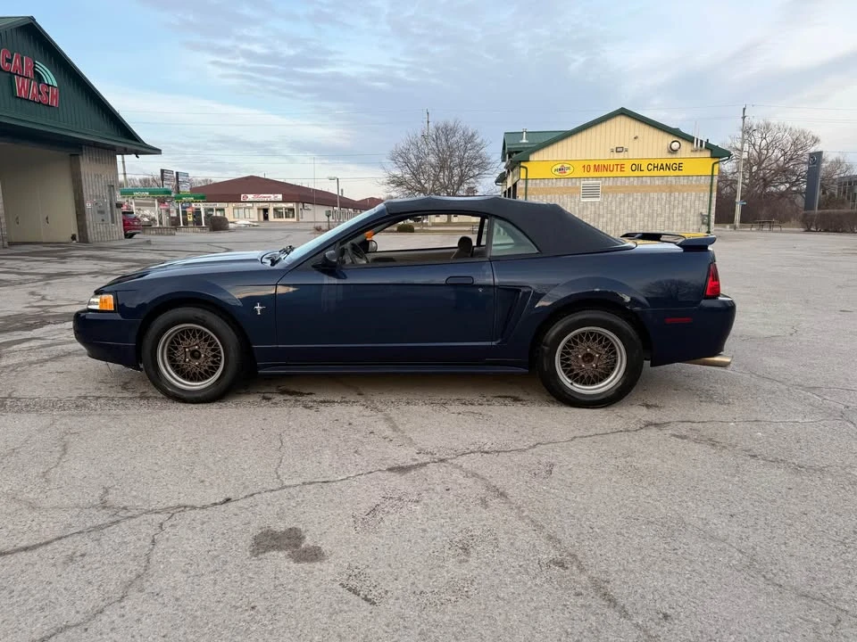 2003 Ford SN95 Mustang - Image 3 of 7