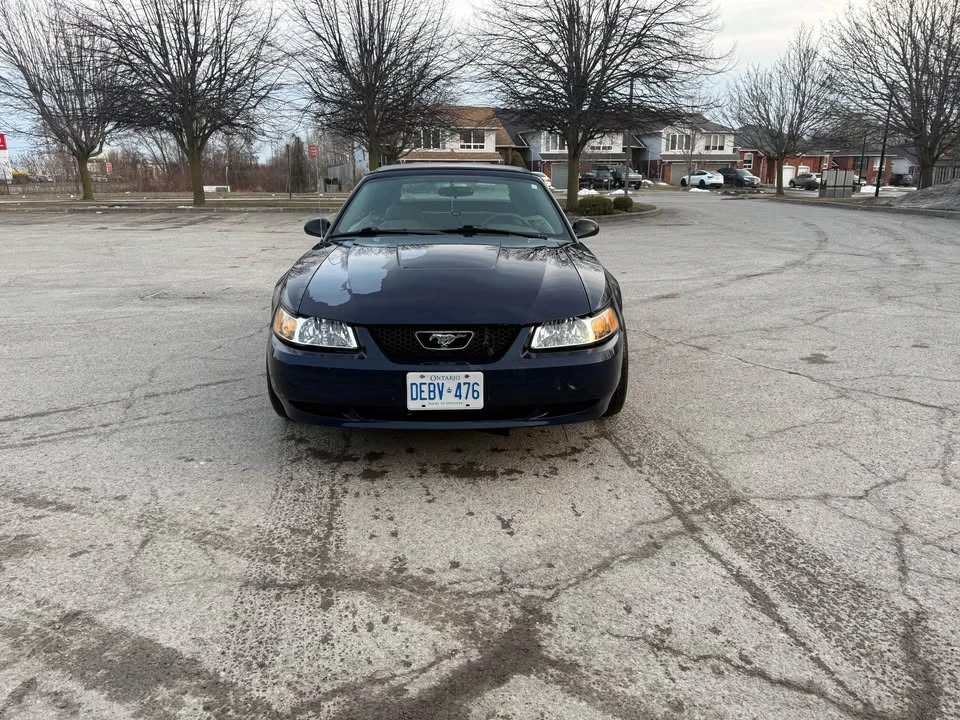 2003 Ford SN95 Mustang - Image 4 of 7