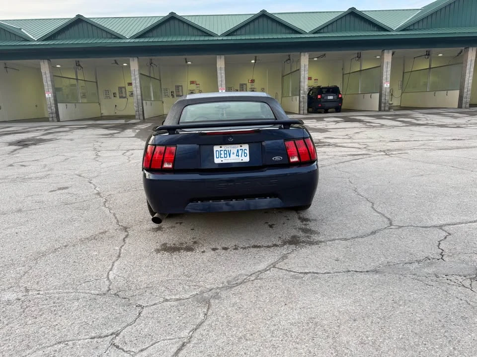 2003 Ford SN95 Mustang - Image 2 of 7