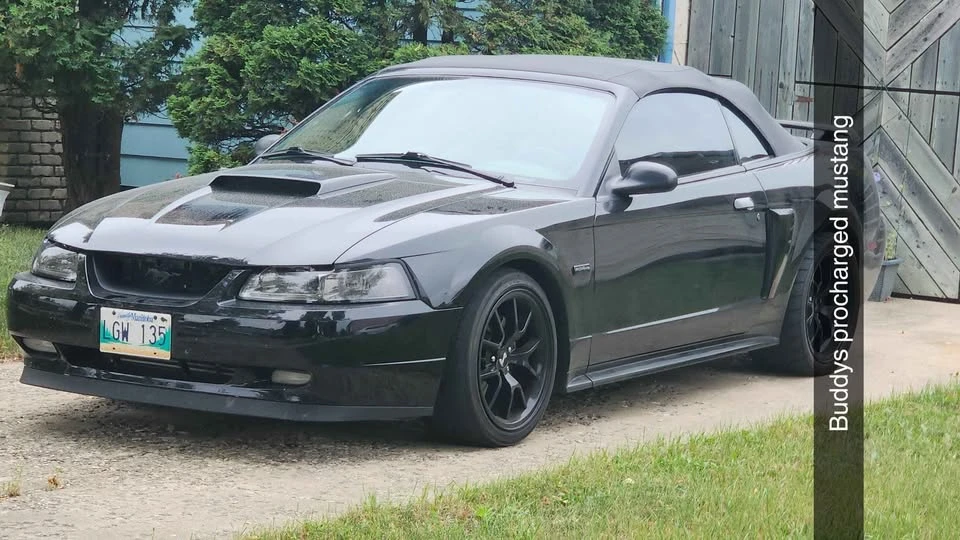 2003 Ford SN95 Mustang - Image 6 of 10