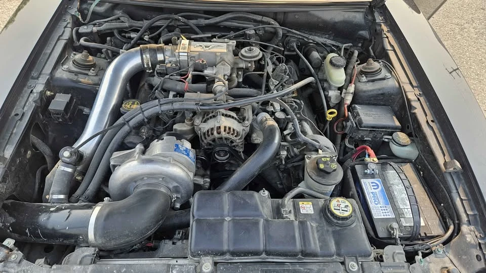 2003 Ford SN95 Mustang - Image 5 of 10