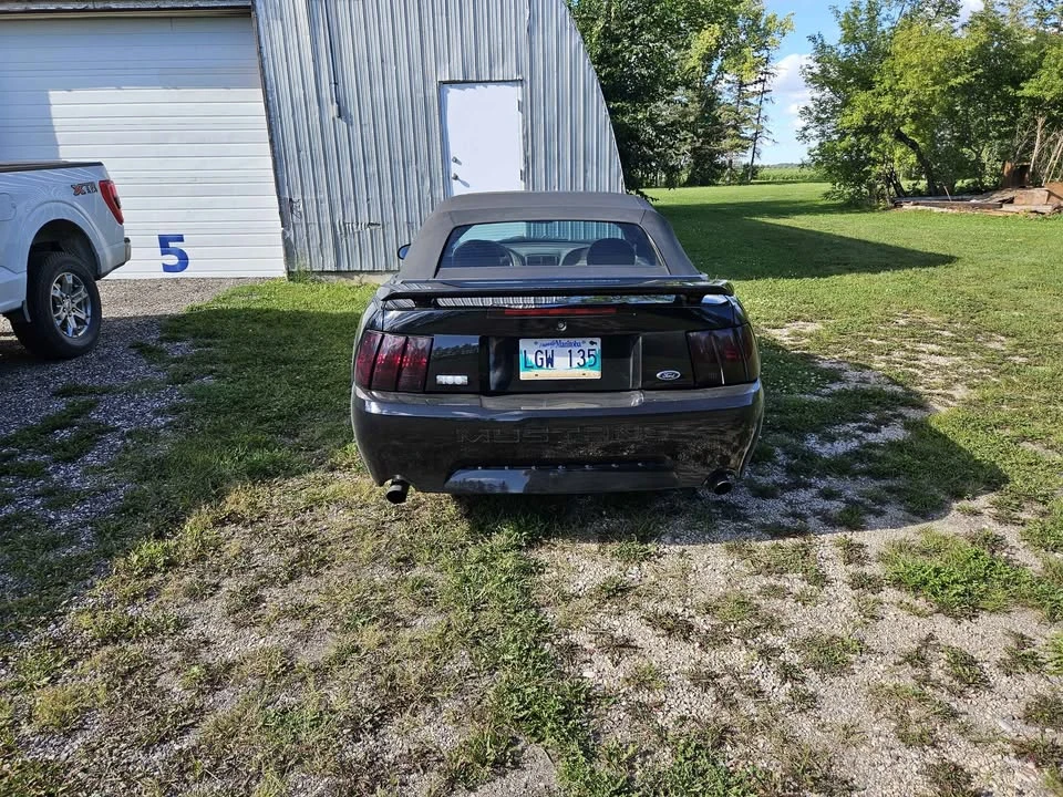2003 Ford SN95 Mustang - Image 3 of 10