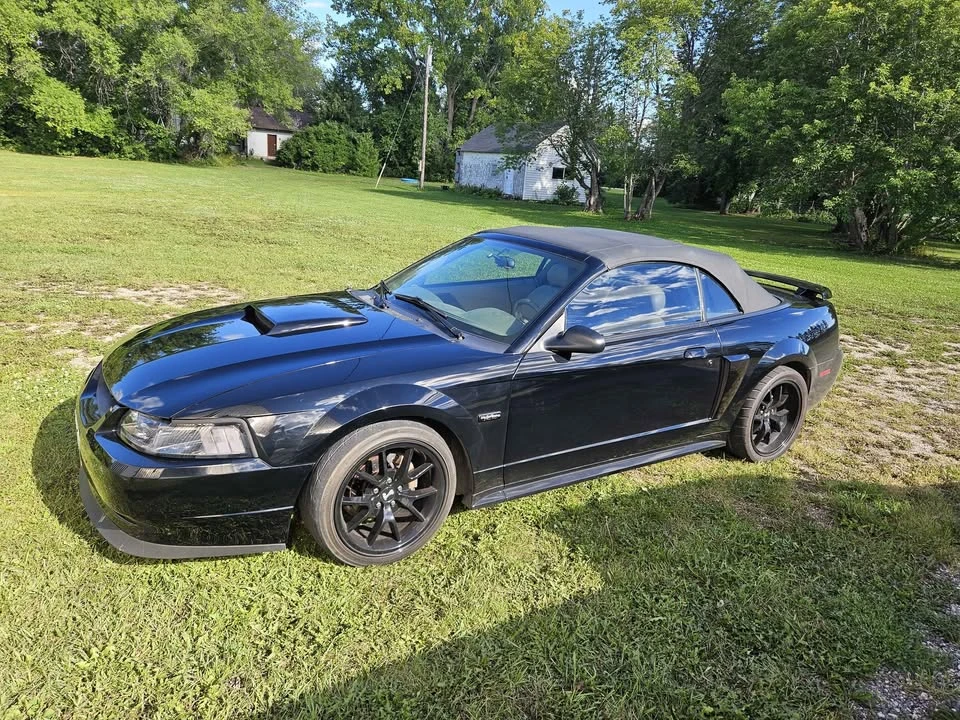 2003 Ford SN95 Mustang - Image 7 of 10