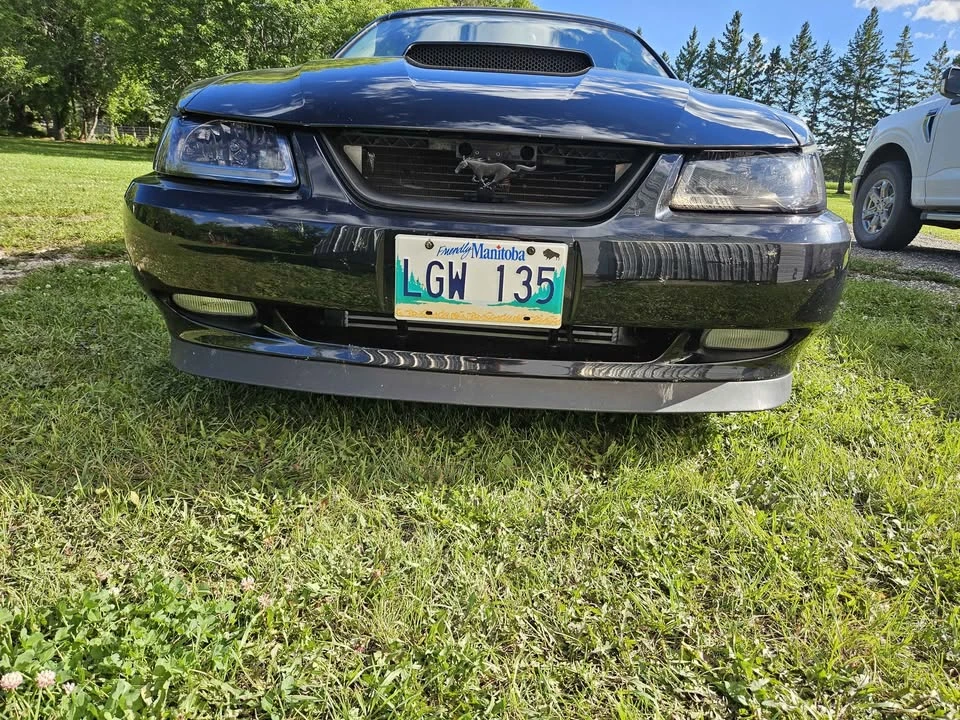 2003 Ford SN95 Mustang - Image 2 of 10
