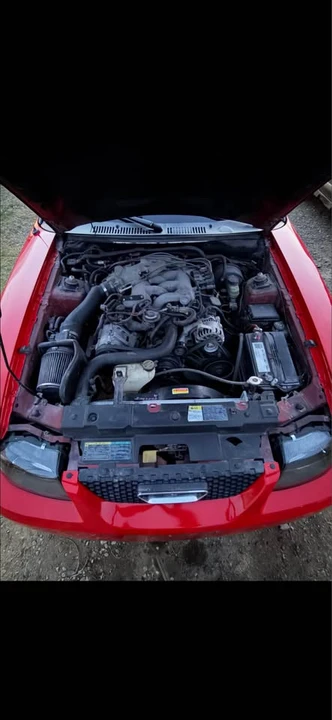 2003 Ford SN95 Mustang - Image 2 of 2