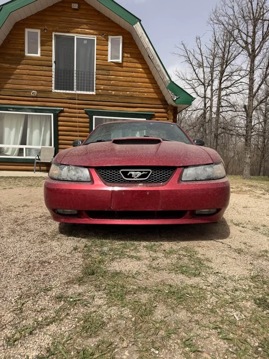 2003 Ford SN95 Mustang - Image 4 of 13