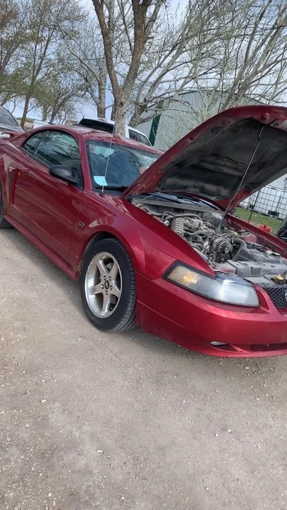2003 Ford SN95 Mustang - Image 2 of 13