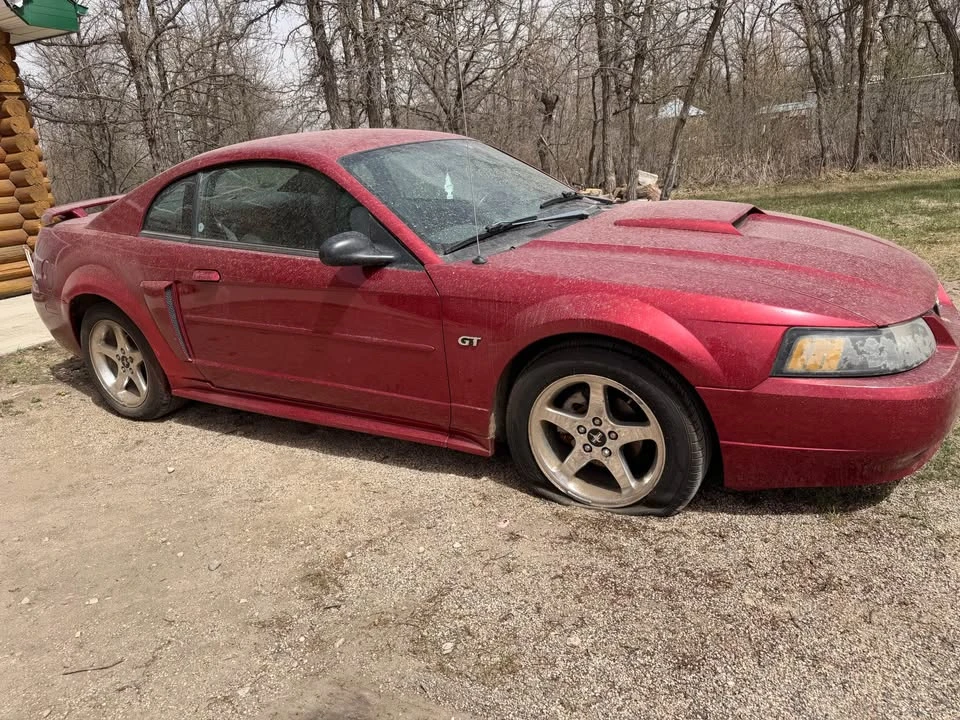 2003 Ford SN95 Mustang - Image 5 of 13