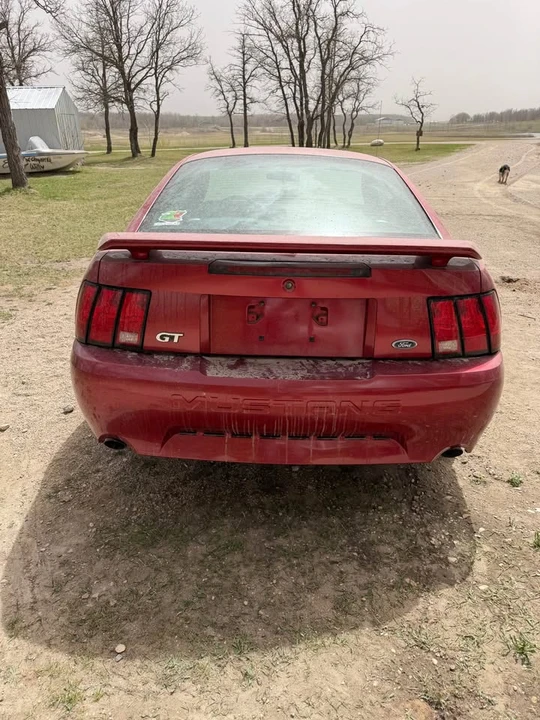 2003 Ford SN95 Mustang - Image 7 of 13