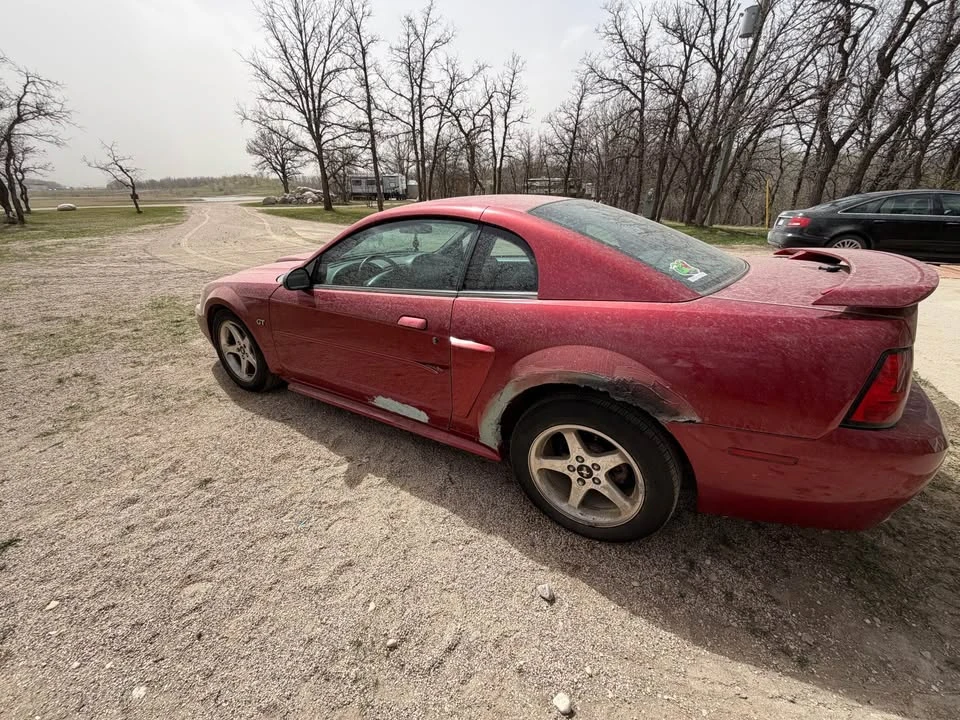 2003 Ford SN95 Mustang - Image 8 of 13