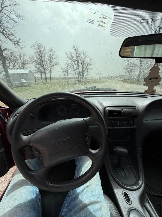 2003 Ford SN95 Mustang - Image 12 of 13