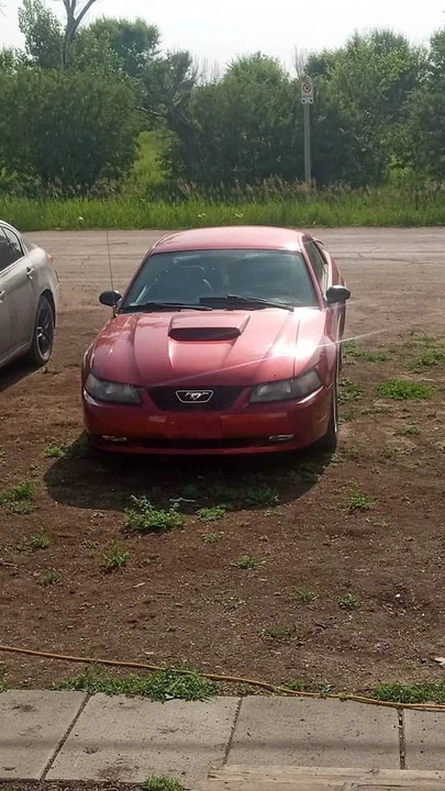 2003 Ford SN95 Mustang - Image 3 of 13