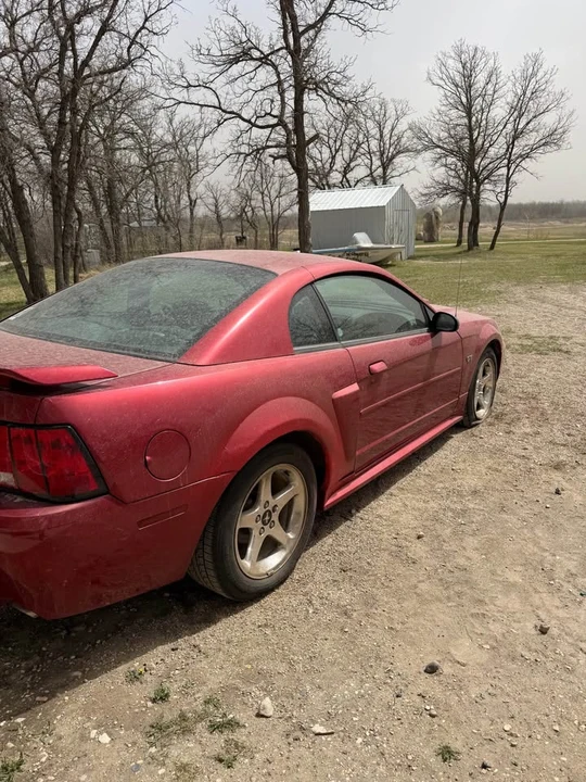 2003 Ford SN95 Mustang - Image 6 of 13