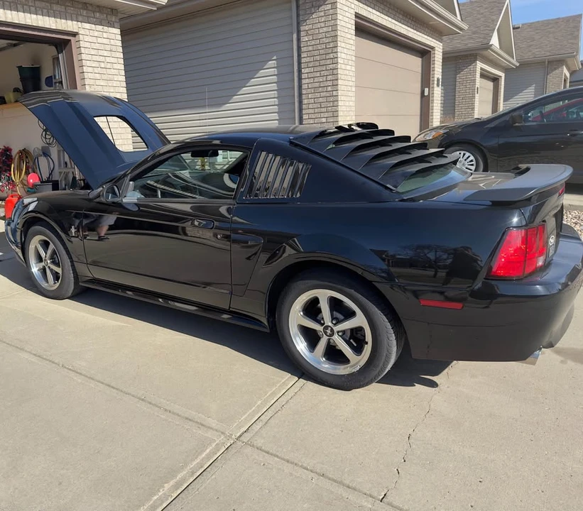 2003 Ford SN95 Mustang - Image 8 of 14