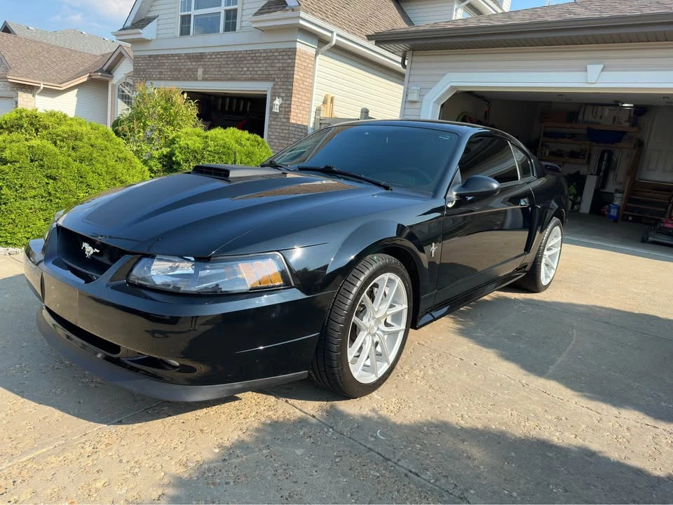 2003 Ford SN95 Mustang - Image 5 of 14