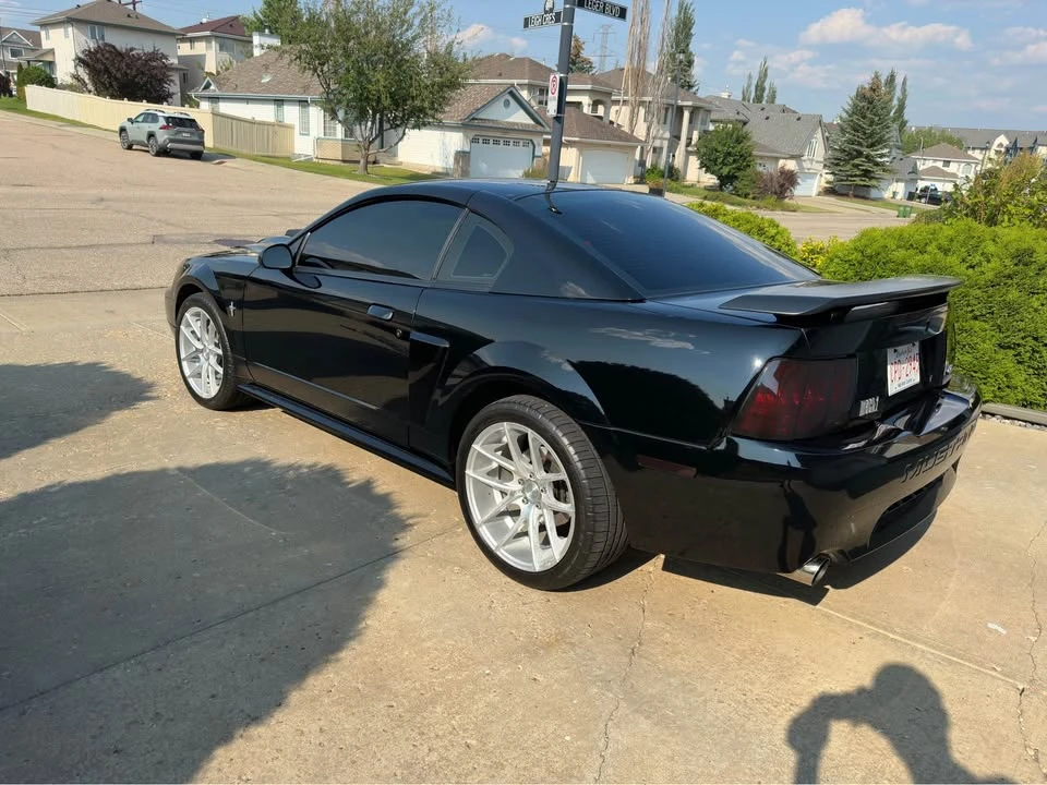 2003 Ford SN95 Mustang - Image 4 of 14
