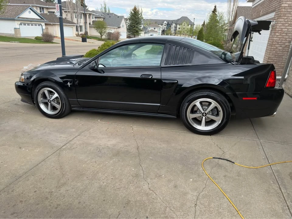 2003 Ford SN95 Mustang - Image 7 of 14